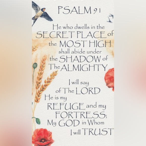 Meet your Posher, Cynthia - Picture 10 of 10